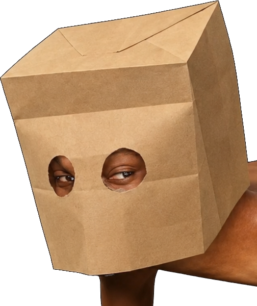 Anonymous Mensa paper bag head